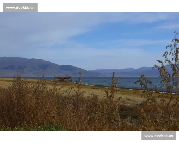 背起百岁奶奶看球赛:116 岁库尔班罕的足球圆梦之旅 背起百岁奶奶看球赛:116 岁库尔班罕的足球圆梦之旅